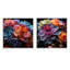 Colorful Succulents Come Alive - Succulent Square Collage, ensemble de 2-1184307119-1184307120