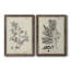 «Antique Black and White Botanical IV», ensemble de 2 reproductions d'art sur toile-1516307829-1516307834