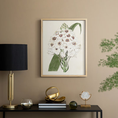 Flore Albo II Framed Print - Solid Wood