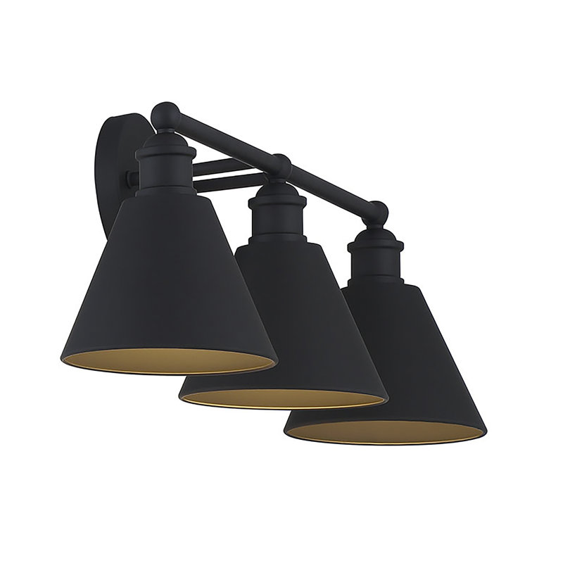 Rolandat 3 Light Dimmable Vanity Light, Matte Black