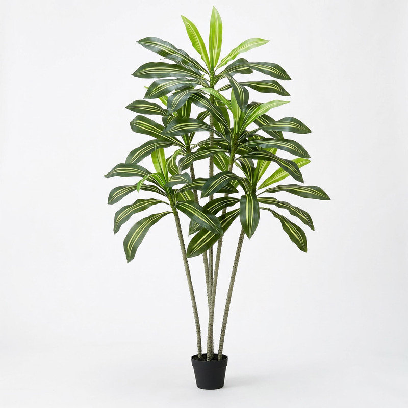 Arbre tropical artificiel artificiel de 6 pi avec plante blanche Dracaena