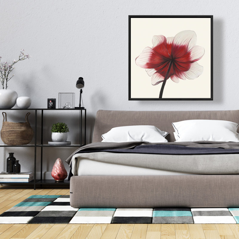 " Anemone Red Flower "