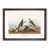 Walnut Framed selected