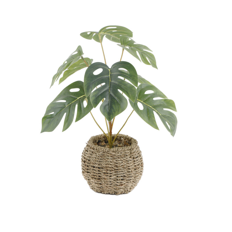 15"H Split Leaf In 6" Basket 6X6X4.25