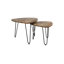 Novalee Nesting Tables