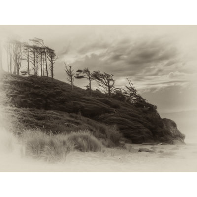Windswept Print by Tom Kostes