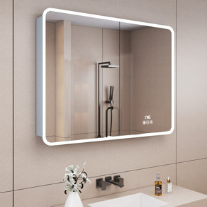 Daleah Recessed or Surface Mount Frameless LED Medicine Cabinet with Mirror and Adjustable Shelves, Defogger, Rounded Edge