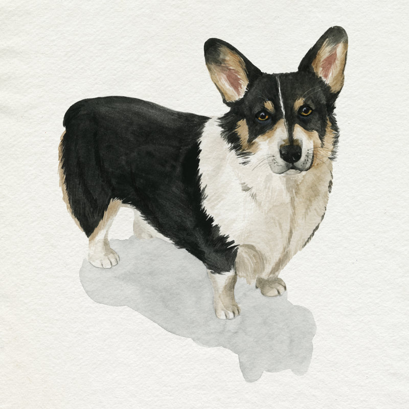 Pup For The Queen I by Grace Popp - Wrapped Canvas Painting, 30cm H x 30cm W x 3.8cm D