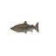 Plat de trinket en fonte de poisson
