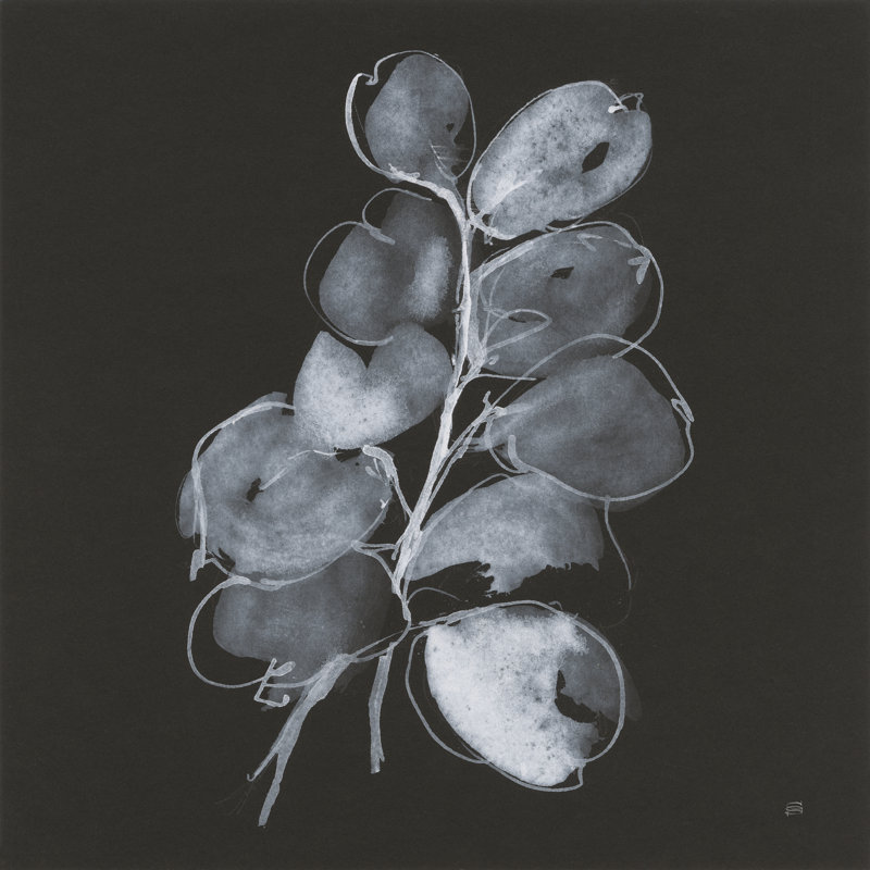 White Eucalyptus II by Chris Paschke - Wrapped Canvas Painting, 76cm H x 76cm W