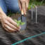 Weed Control Flooring-56681773