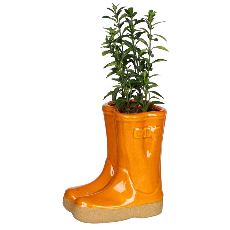 Carlson Ceramic Pot Planter, Orange , 17cm H x 15cm W x 10cm D
