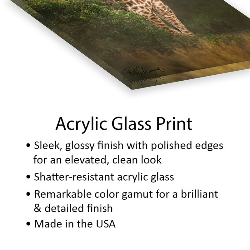 " Misty Morning Giraffe " Graphic Art Print
