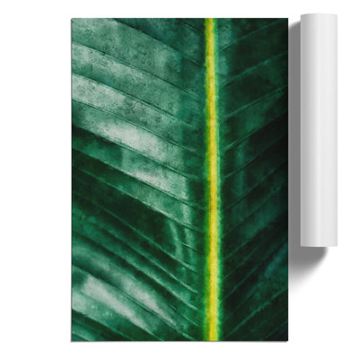 Green Leaf Line Painting - Frameless Print
