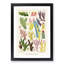 Great Barrier Reef Corals IX by W. Saville-Kent - Picture Frame Painting Print-55575490-55575491
