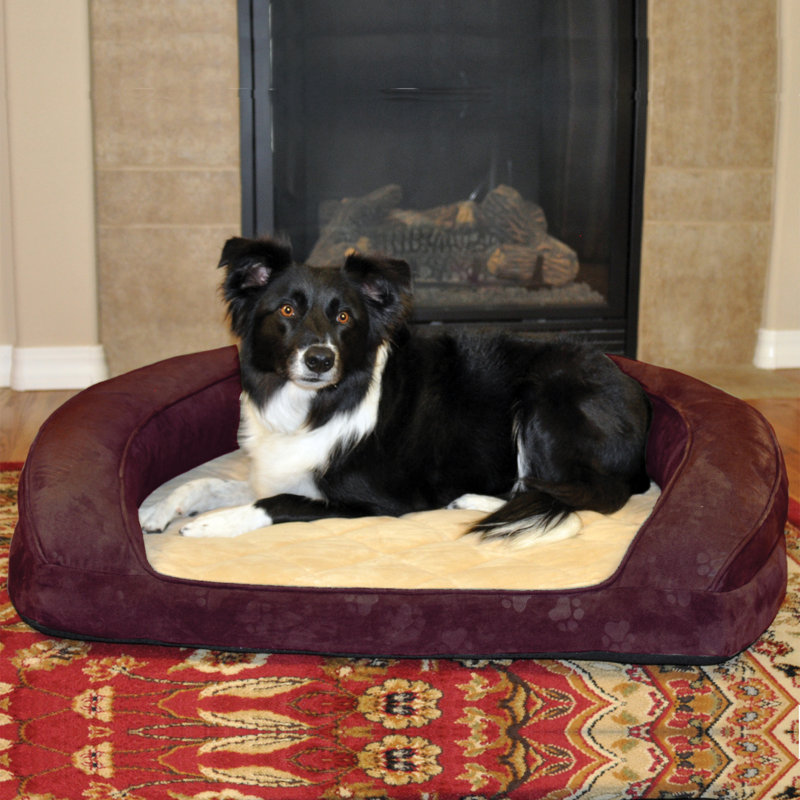 Lit-lit pour chien deluxe ortho, Petit (l 20 po x P 20 po x H 8 po), Aubergine