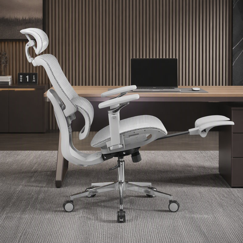 Chaise de bureau ergonomique en maille avec accoudoirs 5D et repose-pieds rétractable, grise, Gris, Grey