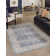 Hillen Oriental Indoor Rug