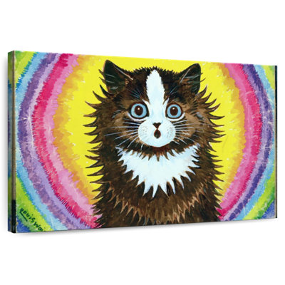 Cat In A Rainbow