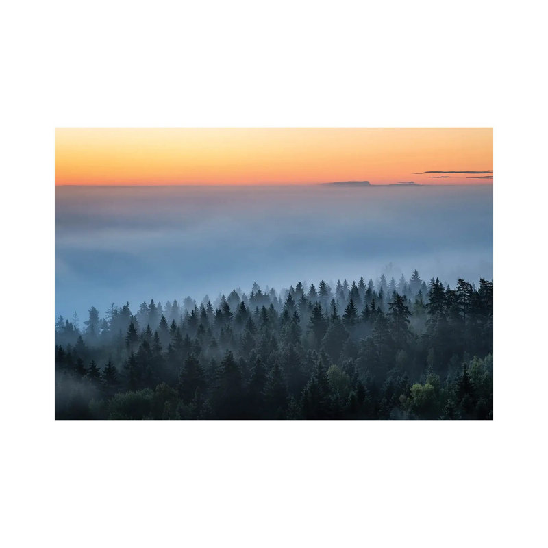 The Awakening by Lauri Lohi - Wrapped Canvas Print, 30.48 cm H x 45.72 cm W