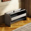 Tabouret de rangement pour chaussures 39,4 po-107556913