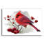  «Bird Cardinal Sitting On A Branch» par Kajenna, art mural en verre acrylique, 24 po x 16 po-1796862453