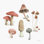 Mélange de champignons 03