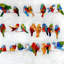 Oiseaux colorés sur toile métallique | Oiseau de chambre à coucher