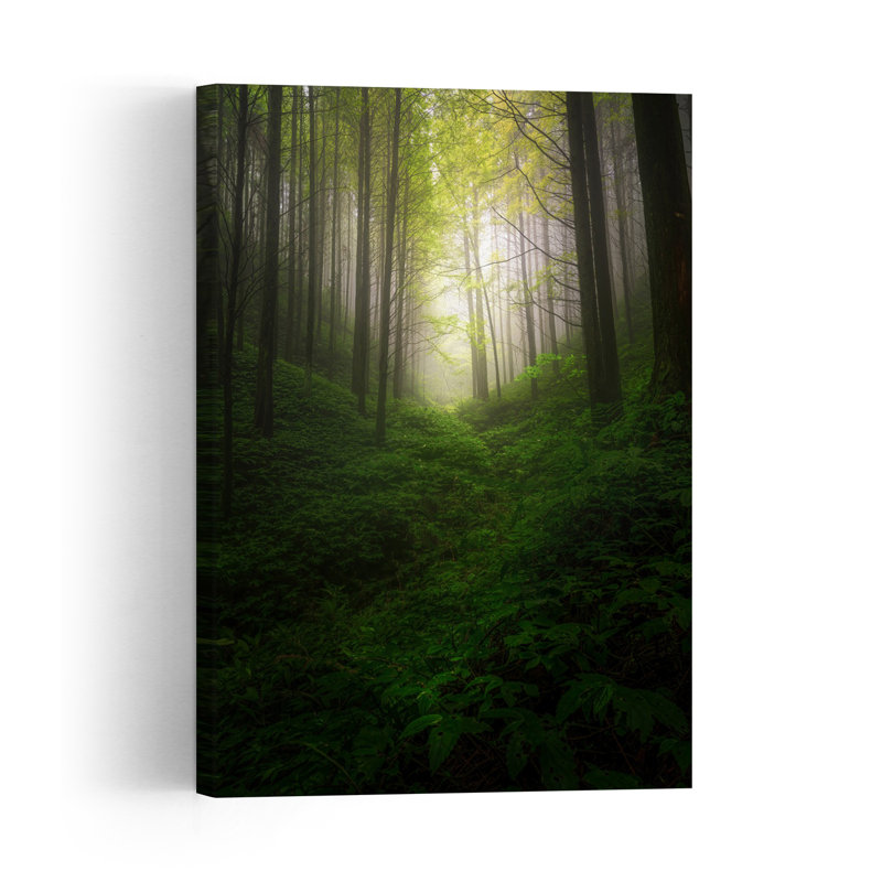 Enchanted Forest Mystical Peaceful Serene Forest Nature Wall Art Print 1 Piece Wrapped Canvas Wall Art, 91.44cm H x 60.96cm W