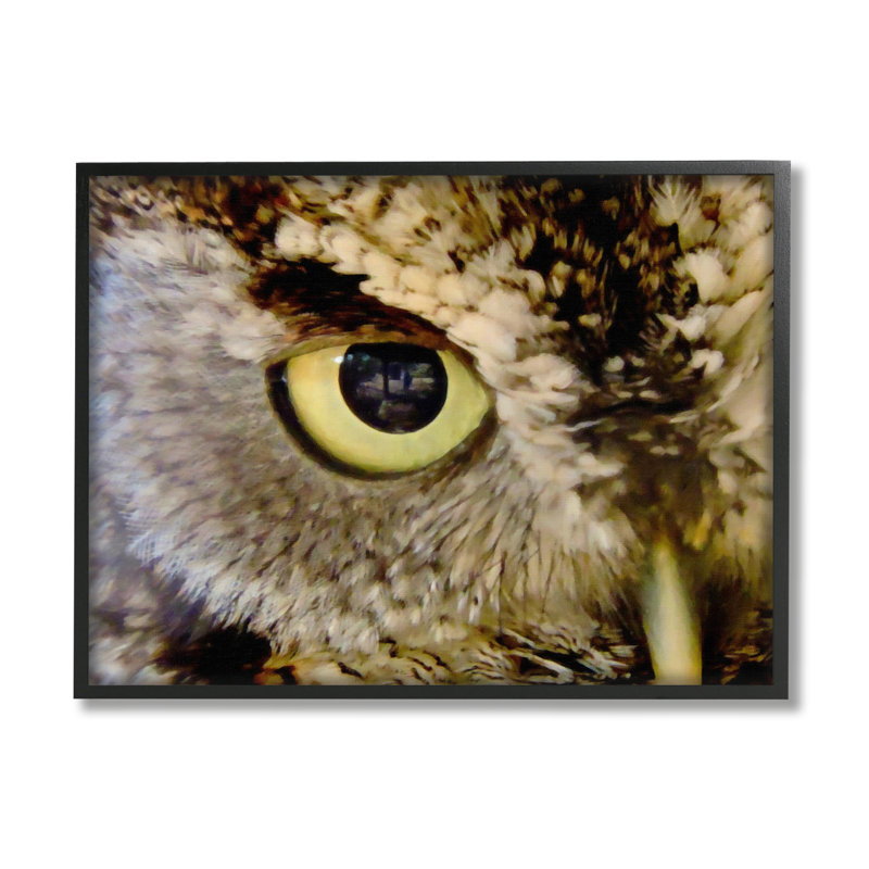" Owl Eye Close Up Wildlife " by Graffi*Tee Studios Painting Print, Midnight Black Framed Giclee, 11" H x 14" W x 1,5" D