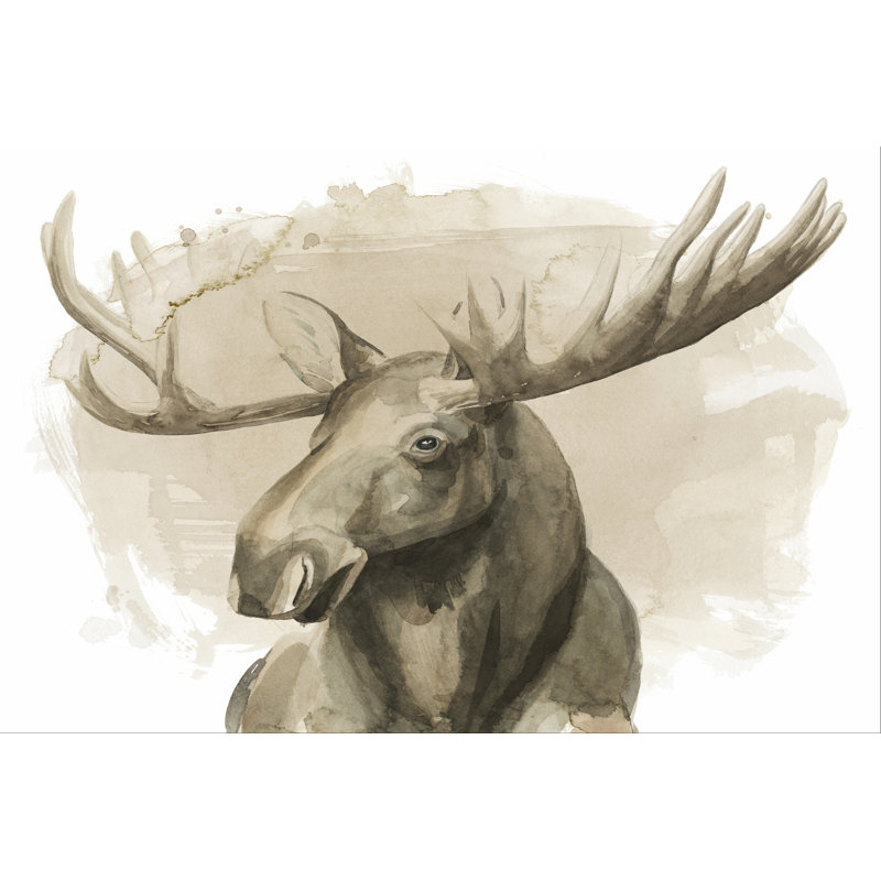 Bull Moose II - Wrapped Canvas Print, 30cm H x 46cm W x 3.8cm D