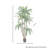 6' UV Potted Dracaena Marginata Tree