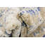 Beige oriental/Tapis décoratif bleu Bellona-40276120