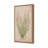 Desert Flora Triptych By Paul Meyer-1215770842