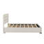 Grand lit plateforme tapissier avec lit gigogne simple et deux tiroirs