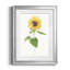«Sunflower I» par J Paul - reproduction d'art encadrée-1374442930-1374442933