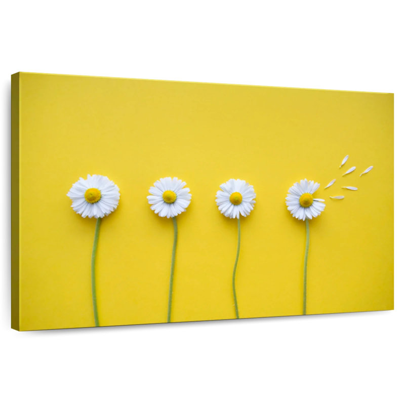 Harnek Four White Daisies, 30" H x 45" W