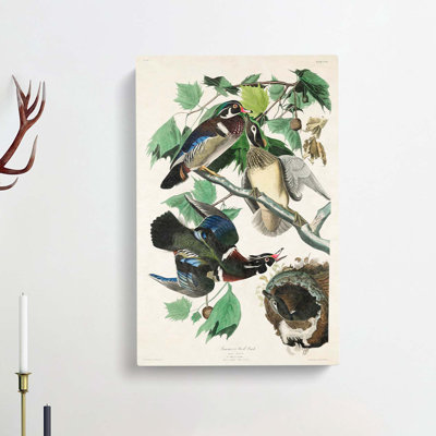 Wood Ducks by John Audubon - Wrapped Canvas