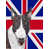Bull terrier (gris et blanc) sélectionné
