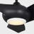 Terhune Indoor Ceiling Fan with Threaded Downrod, Midnight Black ABS blades and Handheld Remote-905154020-990958988-905154023