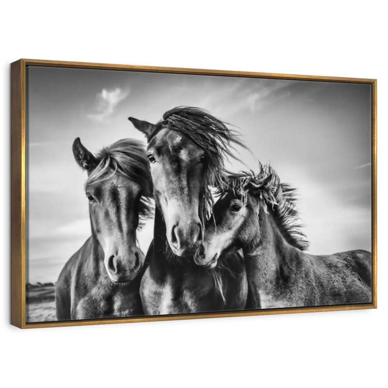 Chevaux Lemvig, Cadre flottant doré, 25 po x 17 po