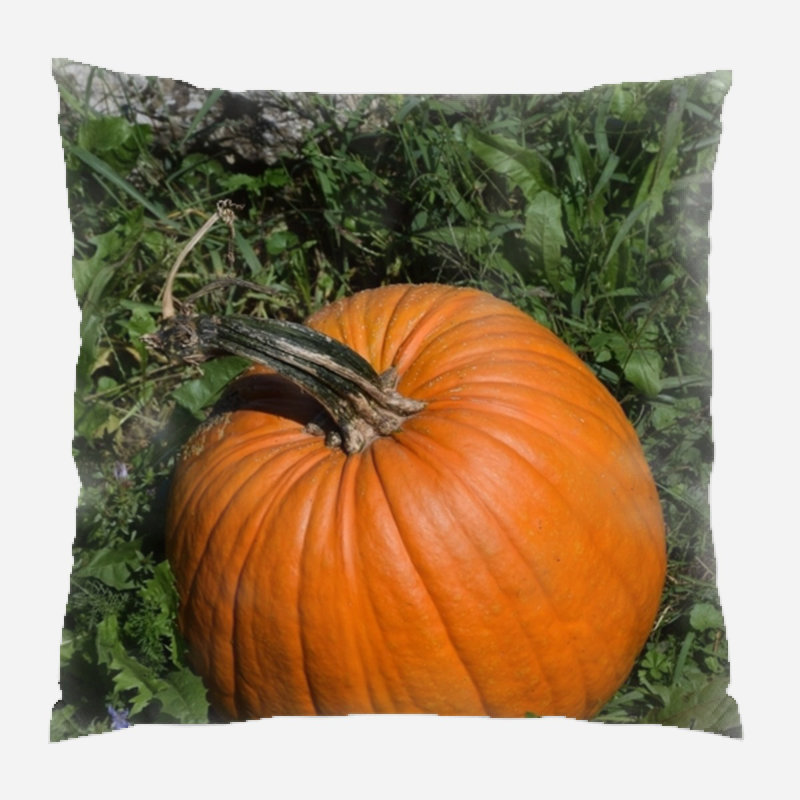  Coussin décoratif intérieur / extérieur Pumpkin