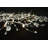 Guarino Indoor 20 - Bulb 6'' Battery Powered Fairy String Light