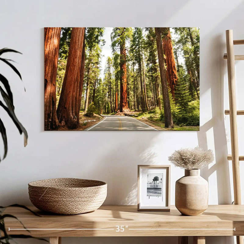 Harnek Sequoia Tree Lane, 16" H x 24" W