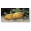 Zesty Lemons II - Toile tendue avec châssis - Prêt à accrocher-87333267