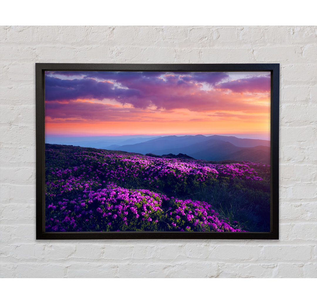 Purple Meadow Mountains - Einzelne Bilderrahmen Kunstdrucke auf Leinwand