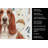 Red and White Basset Hound Coffee Bar Kitchen Towel-1168063340