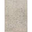 Oriental Area Rug-1798489530