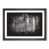 Walnut Framed selected
