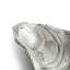 Ocean Reef Oyster Shell Bowl